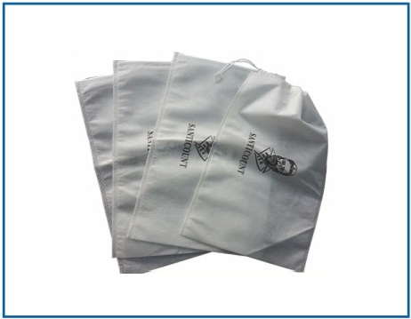 shoes bag